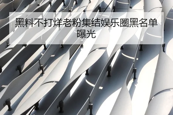黑料不打烊老粉集结娱乐圈黑名单曝光